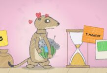 Chapter 1: Surviving a breakup with the solution Impact Factories, episode 1: Surviving a breakup with the solution