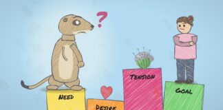 Chapter 5: Navigating the irrationality of human need Impact Factories, episode 5: Navigating the irrationality of human need