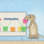 Impact Factories, episode 17: Consolidating knowledge to move forward