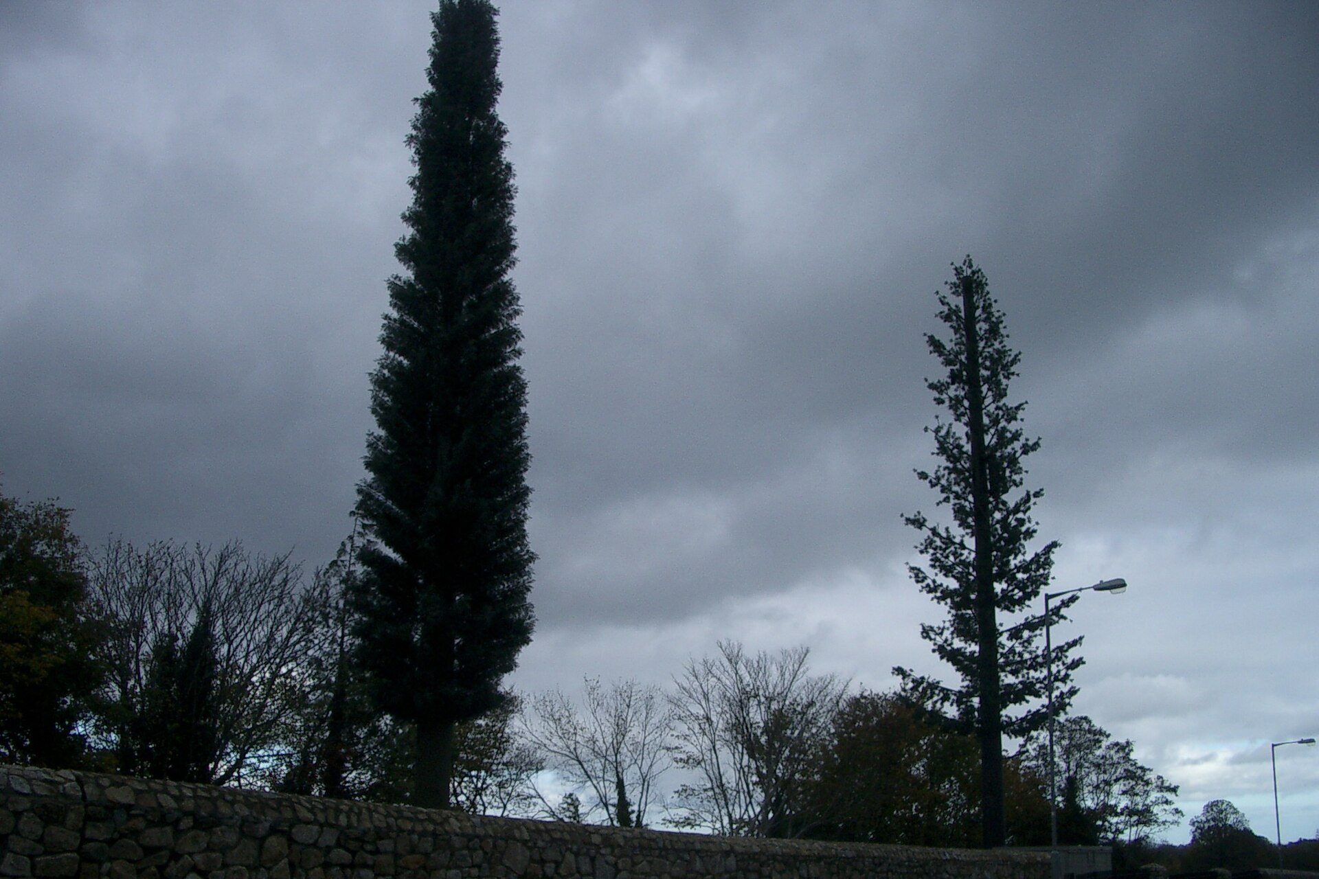Deux antennes de telephonie mobile deguisees en arbres a Dublin.