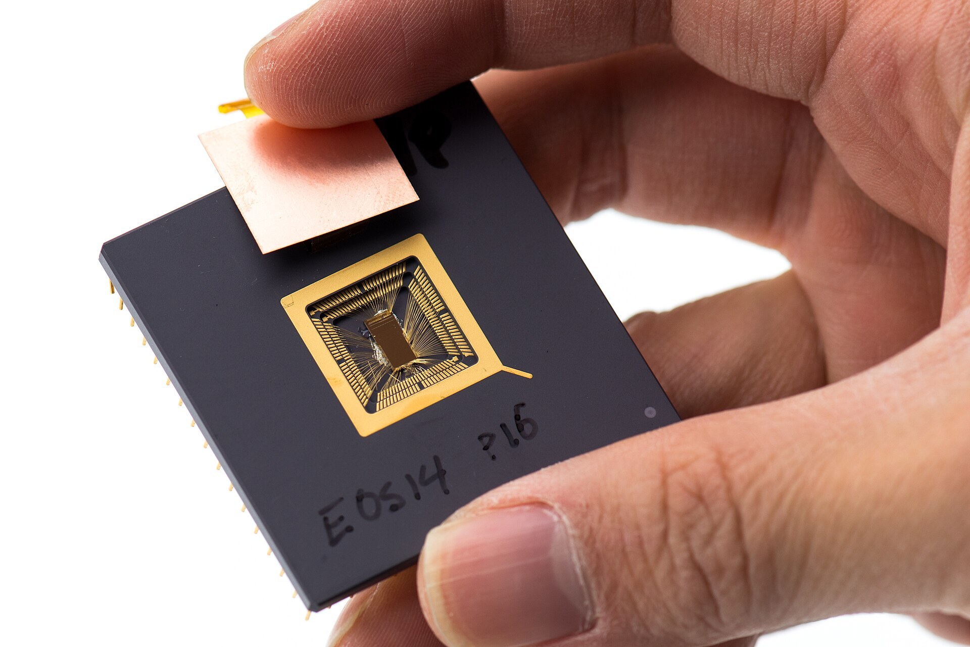 Une main tient une puce électronique prototype.