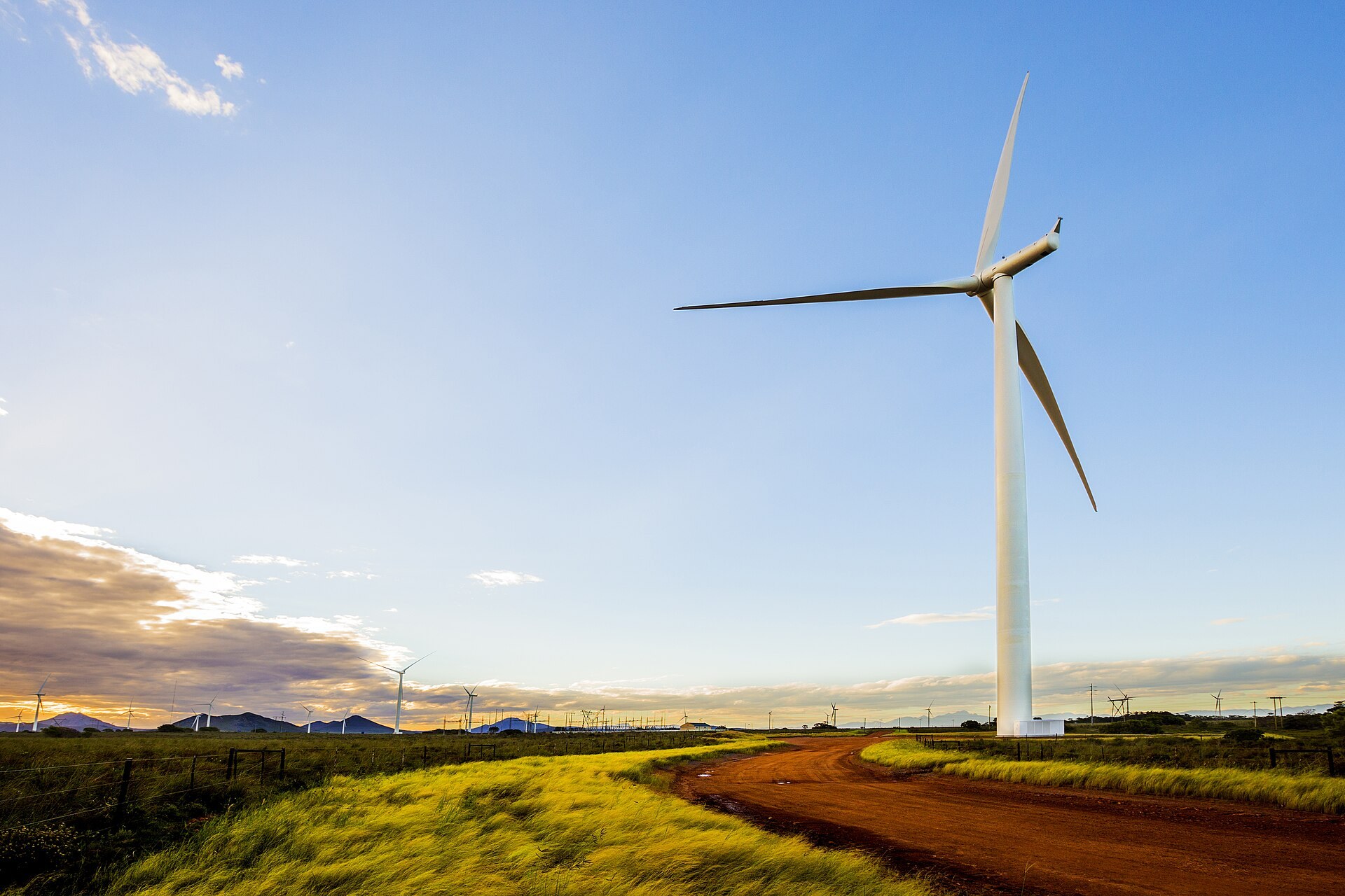 Une eolienne au milieu d un champ, sous un ciel bleu, dans le parc de Jeffreys Bay.